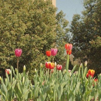 乐鱼官方手机app下载