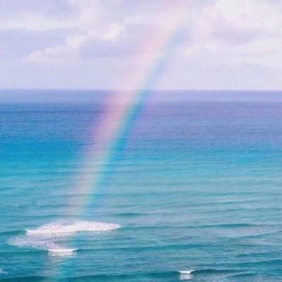 皇冠app官方版下载安卓截图