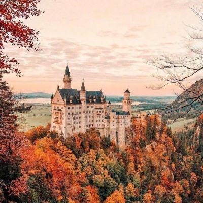 大众彩票入口welcome下载手机版